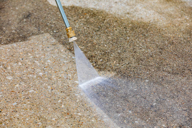 Animal Enclosure Cleaning in Birmingham, MI